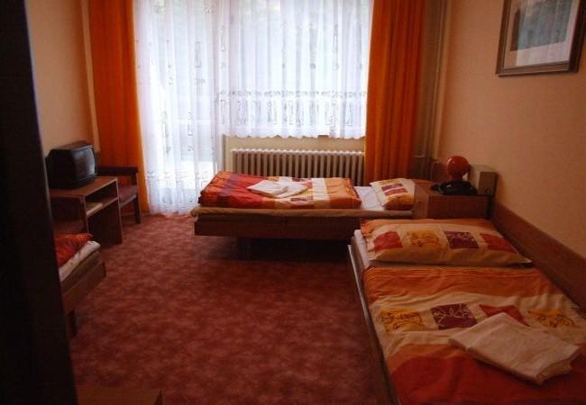 Hotel Petr Bezruc Frýdlant nad Ostravicí Oda fotoğraf